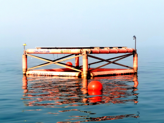 竹基浮式光伏平台
